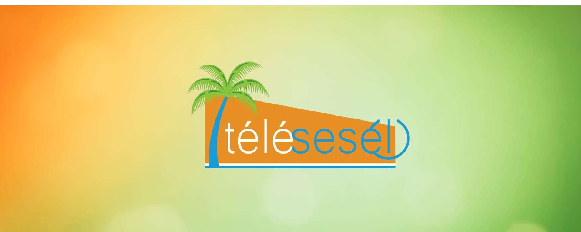 Telesesel